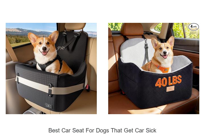 Top 10 Best Car Seat For Dogs That Get Car Sick — Must Try!