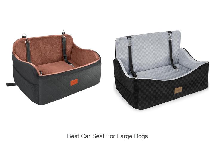 Top 10 Best Car Seat for Large Dogs That Will Blow Your Mind