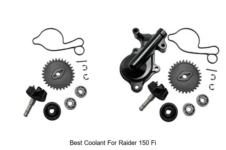 Top 10 Best Coolant For Raider 150 FI You Must Try Today!
