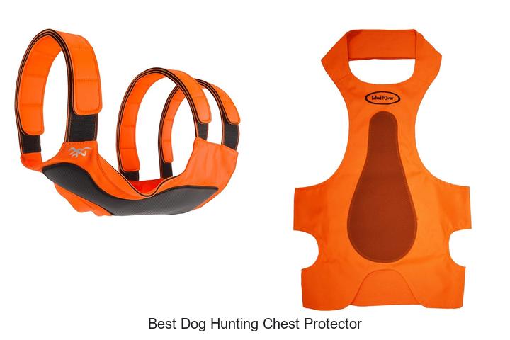 Top 10 Best Dog Hunting Chest Protector You Need Now