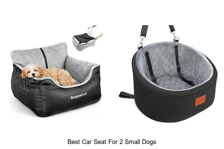 Top 12 Best Car Seat for 2 Small Dogs You Can’t Miss!