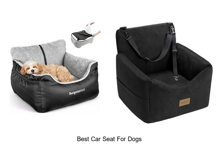 Top 12 Best Car Seat For Dogs That Will Blow Your Mind!